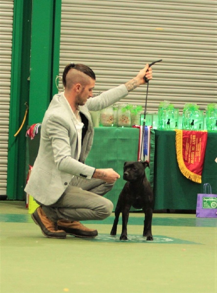 Staffordiamond's Look at me